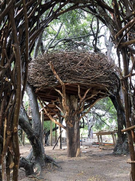 Incredible Wooden Sculptures Resemble Giant Birds Nests