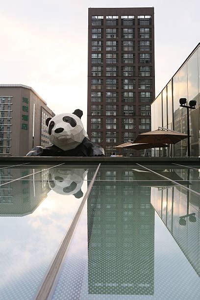 15 Meter Tall Panda Sculpture Climbs On Chengdu Ifs Photos And Images