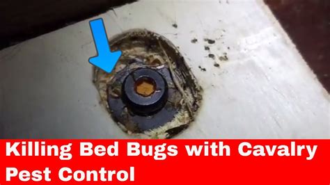 Killing Bed Bugs Using Heat With Cavlary Pest Control Youtube