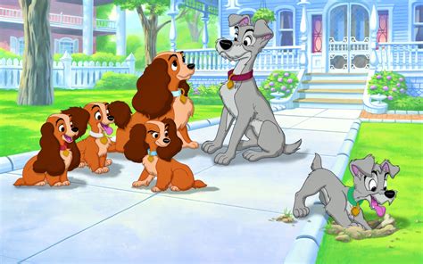 Lady And The Tramp Disney Wallpapers Hd Desktop And Mobile