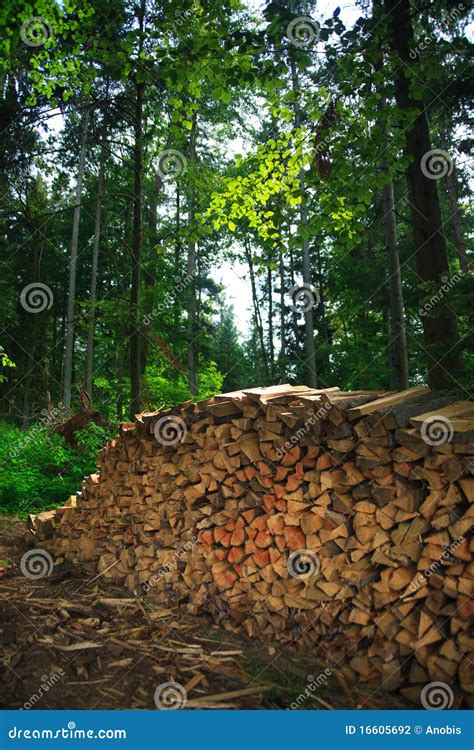 Pile Of Logs Stock Photo Image Of Blue Lumber Deforestation 16605692