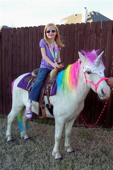 Pet Unicorns For Sale That Are Real She Wanted A Real Horse