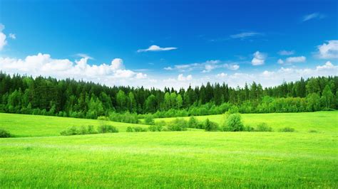 Schöne Natur Landschaft Feld Grüne Gras Bäume 3840x2160 Uhd 4k