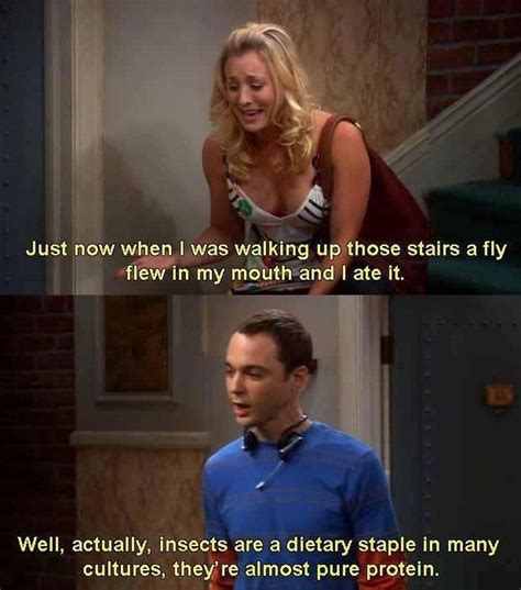 Penny And Sheldon On Big Bang Theory Meme Lol Big Bang Theory Memes The Big Bang Theory Penny