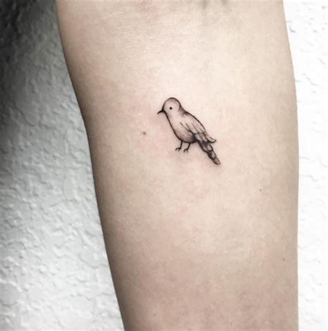 Just wait for it to completely heal. These are possibly the cutest animal tattoos ever (54 ...