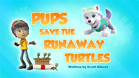 pups save the runaway turtles paw patrol wiki fandom powered by wikia