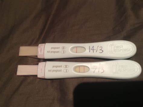Can I Do A Pregnancy Test After 1 Week Pregnancywalls