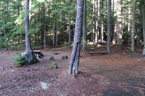 Surrounded by temperate rain forest, this small and remote campground is a great spot for campers. Adams Fork Campground - Gifford Pinchot National Forest ...