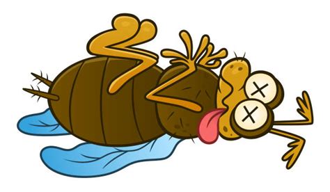 Best Dead Bug Illustrations Royalty Free Vector Graphics And Clip Art