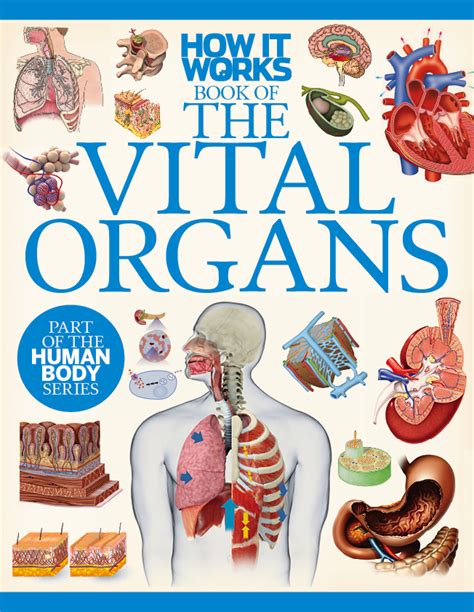 Vital Organs Brand New Digital Edition From How It Works How It Works
