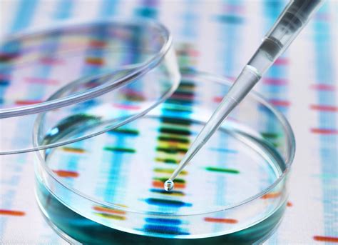 A Science Writer Explores The Perversions And Potential Of Genetic Tests Wgcu News