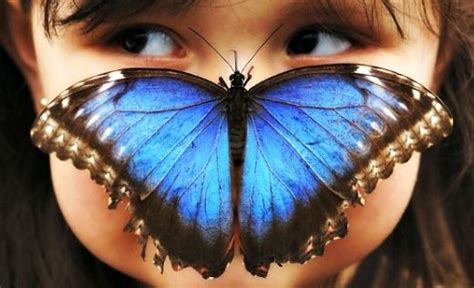 The answer might surprise you. Butterfly Pose Effects - 2018, Asian, Butterfly, Crown, Effects, el Tony Girls ... : Hi girls ...
