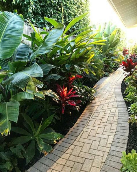 Pin By Nanta On Tropical Plant Schemes Small Tropical Garden Ideas