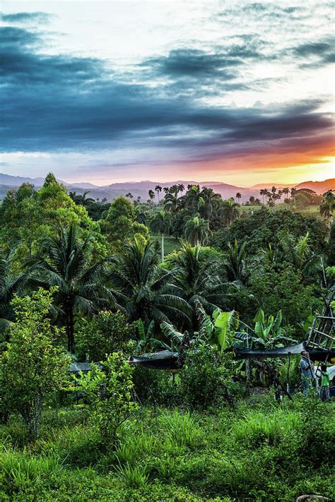 Caribbean Jungle Sunset Photograph By Samuel Hodges Fine Art America