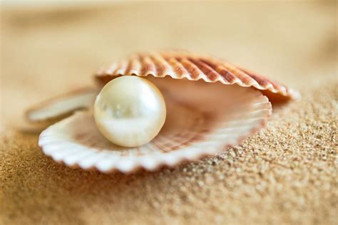Top 10 Most Expensive Pearls In The World — Icecarats Jewelry