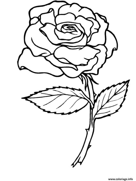 Coloriage Roses 2 Dessin Rose à Imprimer