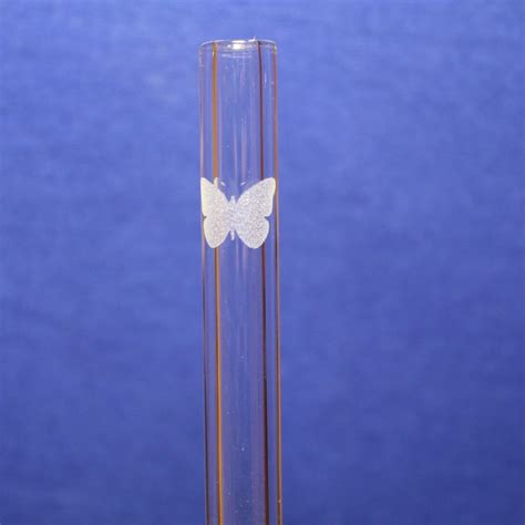 Butterfly Etched Glass Drinking Straw With Cleaning Brush Drinking