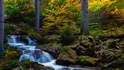 Waterall Stream Between Algae Covered Rocks Surrounded By Trees 4k 5k