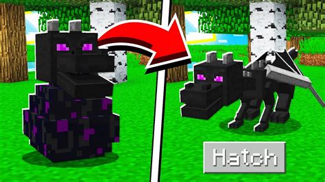 How To Hatch The Ender Dragon Egg In Minecraft Tutorial Blogtubez