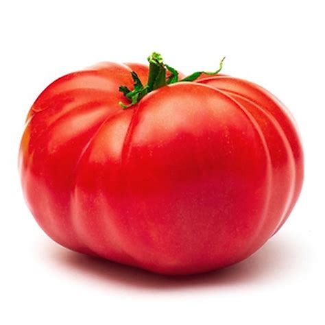 Giant Belgium Tomato Heirloom 10 Seeds