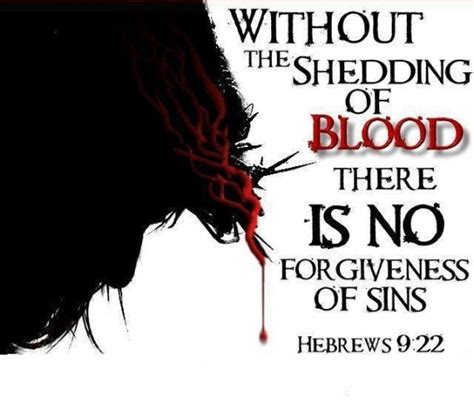 10 Reasons Hebrews 922 Does Not Teach The Shedding Of Blood For The
