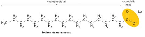 This will be our water phase and usually it contains water and glycerin (remember glycerin is important to keep our products hydrated, this is because glycerin is highly hydrophilic). an example of soap is general formula of an alchohal is ...