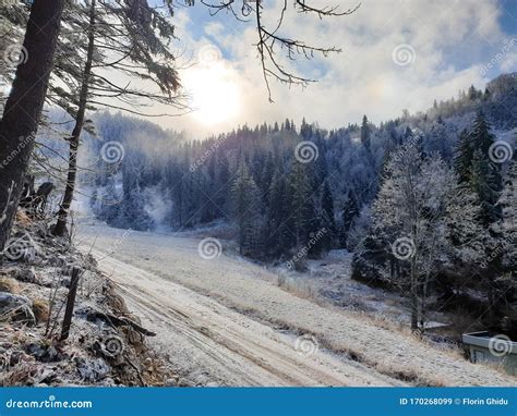 Romania Postavaru Mountains Winter Landscape Stock Image Image Of
