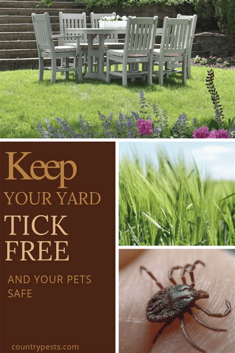 They can sense someone walking below them and then drop. Keep your yard tick free (1) - Country Pests