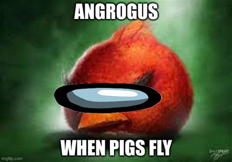 Realistic Red Angry Birds Imgflip