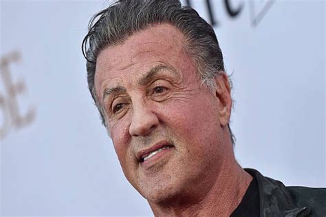 Actor Sylvester Stallone Under Probe For Sexual Assault Entertainment
