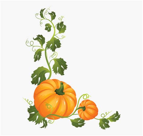 Clip Art Pumpkin Vine 20 Free Cliparts Download Images On Clipground 2023