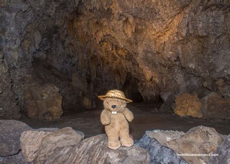 Timpanogos Cave National Monument The Bill Beaver Project