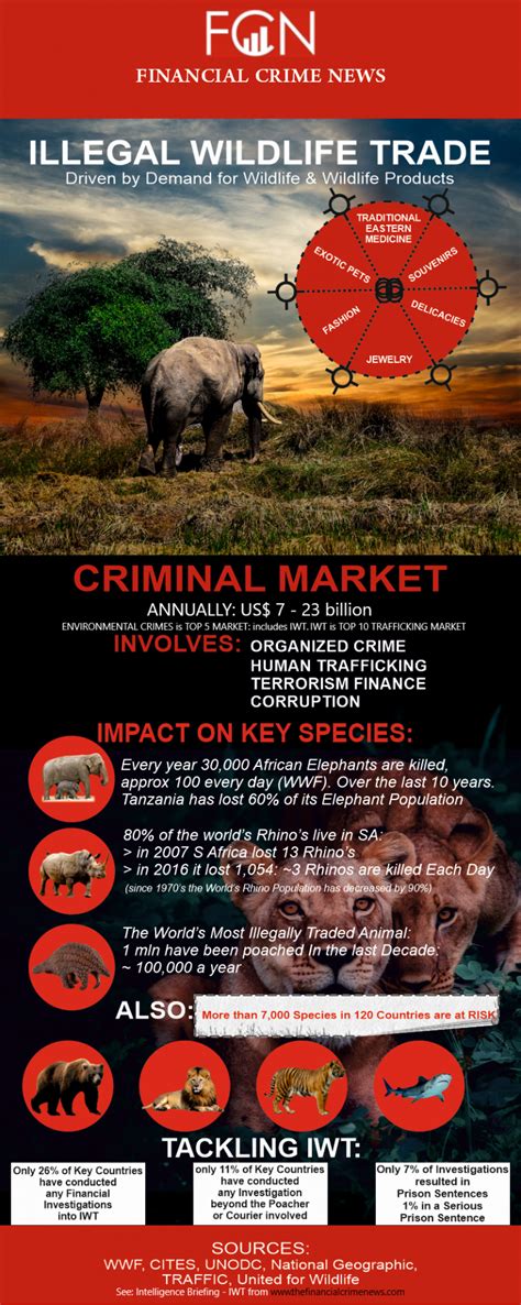 intelligence briefing illegal wildlife trafficking by fcn financial crime news