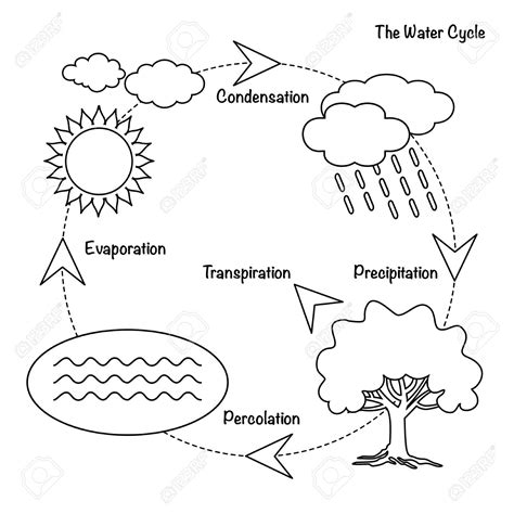 Have you ever thought about where water comes from? Water Cycle Drawing at GetDrawings | Free download