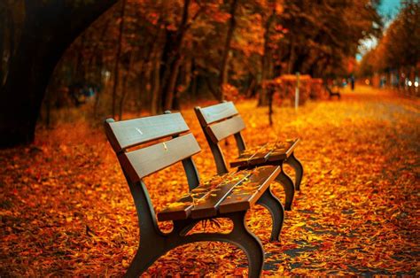 Best Photography Tips For Awesome Autumn Photos The Vienna Blog