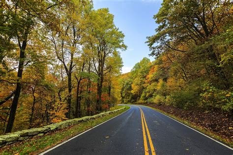 Free Images Landscape Tree Nature Forest Grass Road Trail