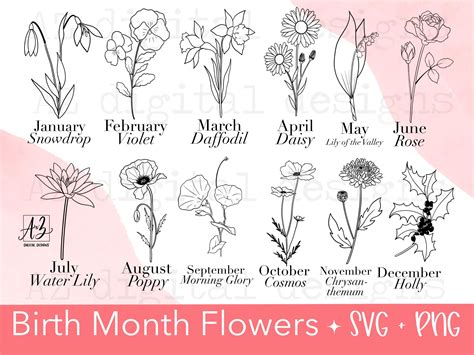 Birth Month Flower Svg Hand Drawn Birthday Flower Svg Floral Botanical
