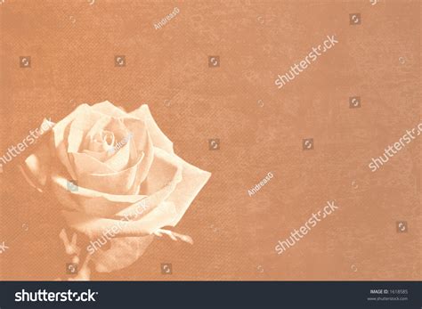 Mail Paper With Rose Watermark Stock Photo 1618585 Shutterstock