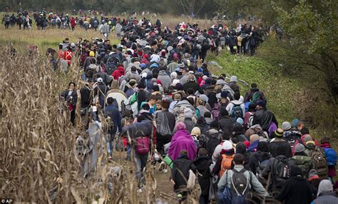 Slovenia Becomes The Latest Country To Build A Fence To Cope With Refugee Crisis Daily Mail Online