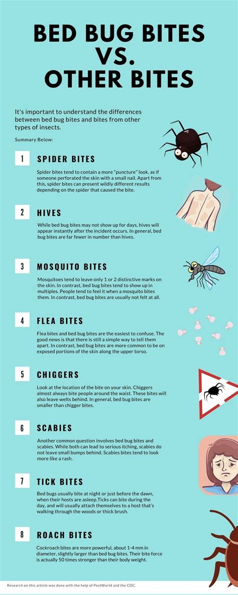 Flea Vs Bed Bug Bites Identification Other Bites And C
