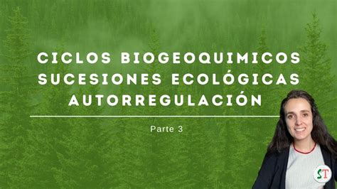 Ecosistemas Ciclos Biogeoquímicos Sucesiones Ecológicas Biología 4º