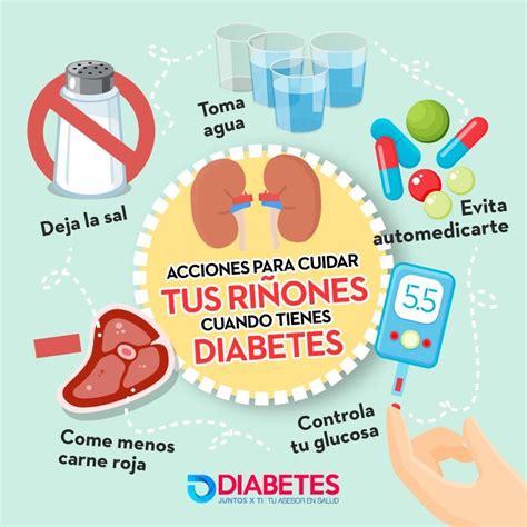 ¿cómo Cuidar Tus Riñones Tengo Diabetes Riñones Diabetes