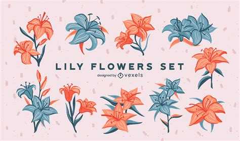 Lily Vector And Graphics To Download