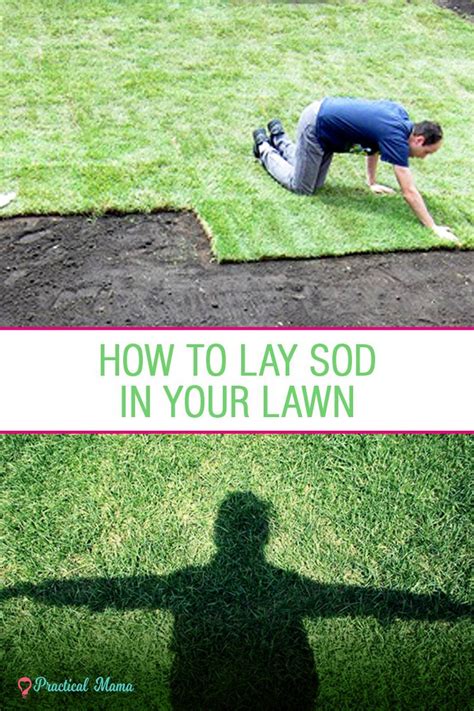 Finally, the lawn roller should be. How to lay new sod by yourself
