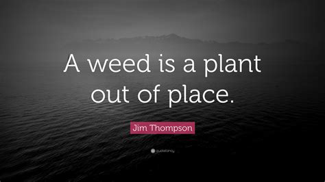 Check spelling or type a new query. Jim Thompson Quote: "A weed is a plant out of place."