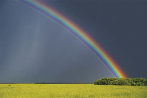 PI kids are asking: How are rainbows made? -- Inside the Perimeter