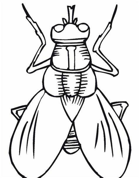 Fly Cartoon Insect Coloring Pages Kids Coloring Pages Printable