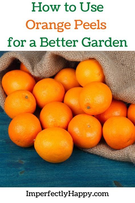 6 Tips How To Use Orange Peels For A Better Garden In 2022 Amazing