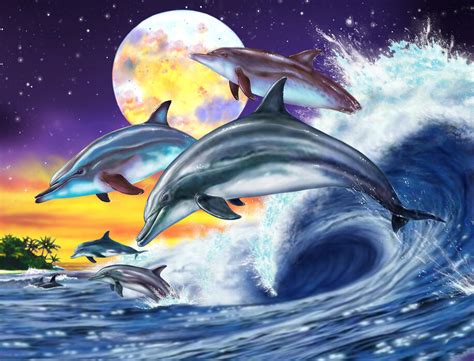 Dolphin Wallpaper For Walls