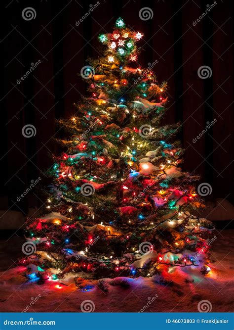 Snow Covered Christmas Tree Stock Image Image Of Festive Night 46073803